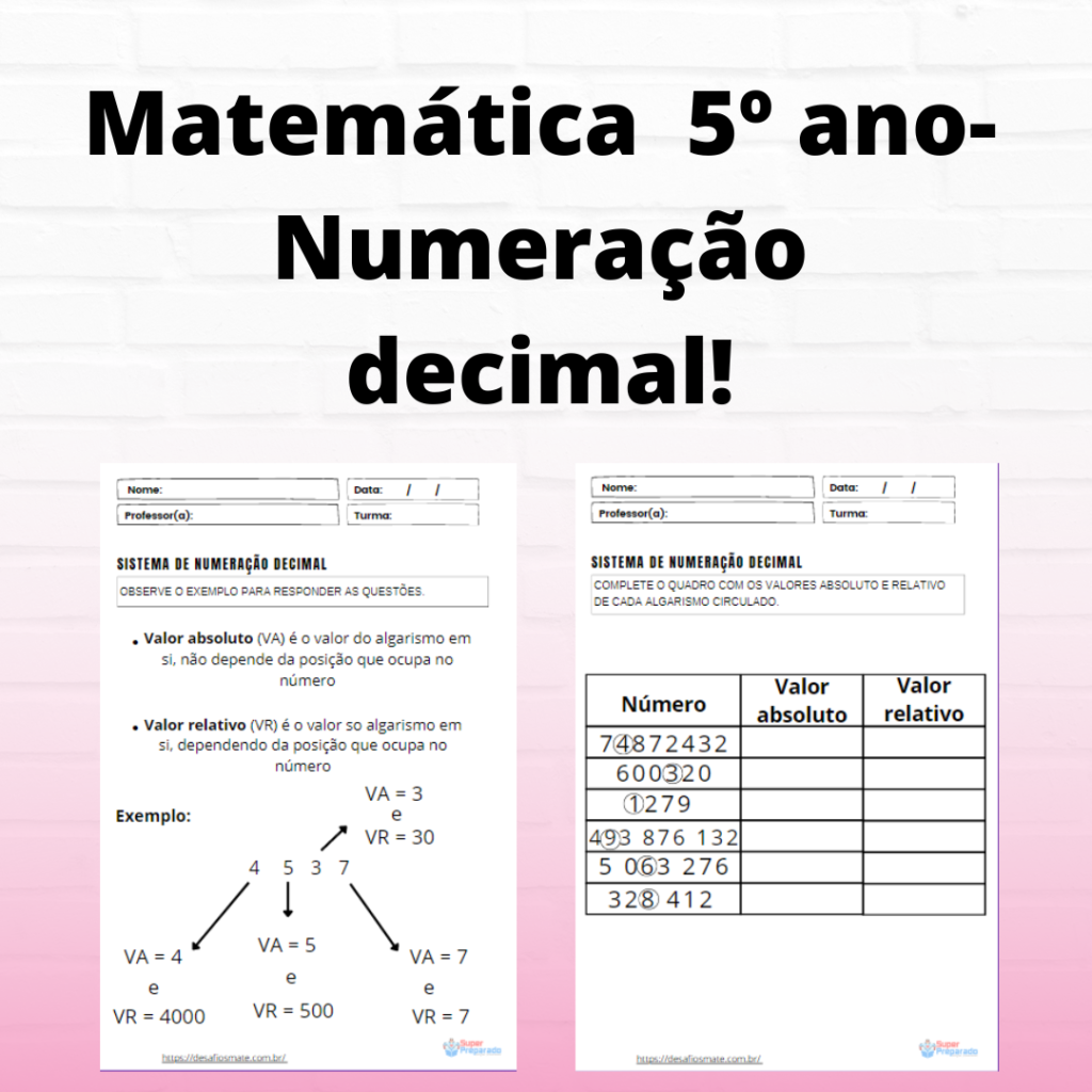 103.Matematica 5o ano